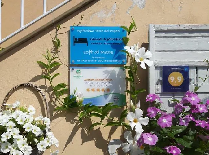 Κατάλυμα σε φάρμα Loft Al Mare San Lorenzo al Mare